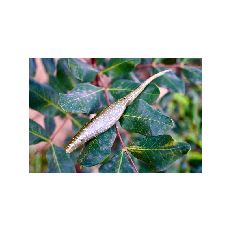 PERCANEGRA FERAL JERK COLOR 405