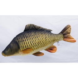 GABY THE CARP CARPA COMUN  64CM