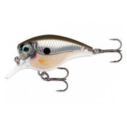 RAPALA BX BRAT MID 05 COLOR PGS 6CM 1.80M