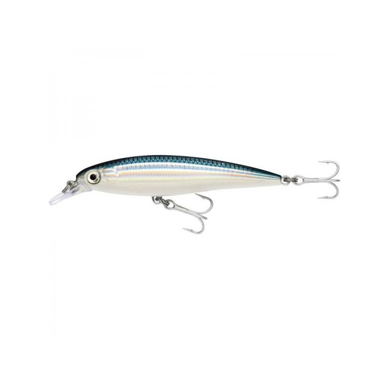 RAPALA X-RAP 10CM BFH