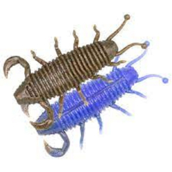 GEECRACK BUGPEE 2.2 COBALT BLUE ZALLI