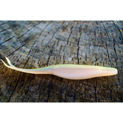 PERCANEGRA FERAL JERK COLOR 013