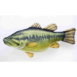 GABY THE CARP CARPA 61CM
