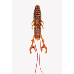 WALOBAITS MARAMBA CRAW 3" 005 SPECIAL CARROT
