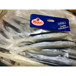 SHADOW THREADFIN SHAD 100-5 1/2