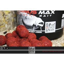 TRYBION HOOKBAIT 20MM CYPRINUS CRAB/KRILL/SPICE