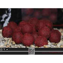 TRYBION BOILIES 20MM CYPRINUX MAX CRAB/KRILL/SPICE