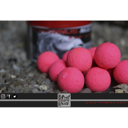 TRYBION POP UP CYPRINUS 15MM CANGREJO/KRILL/SPICE