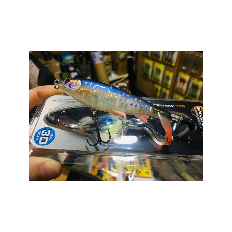 SAVAGE 3D SMASHTAIL 10CM 17GR ROACH